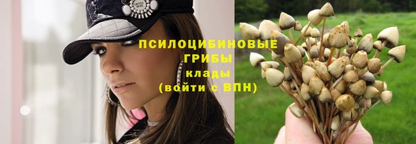 кокаин Арсеньев